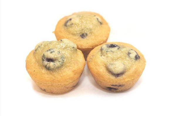 Katz Gluten free Blueberry Muffin Snacks